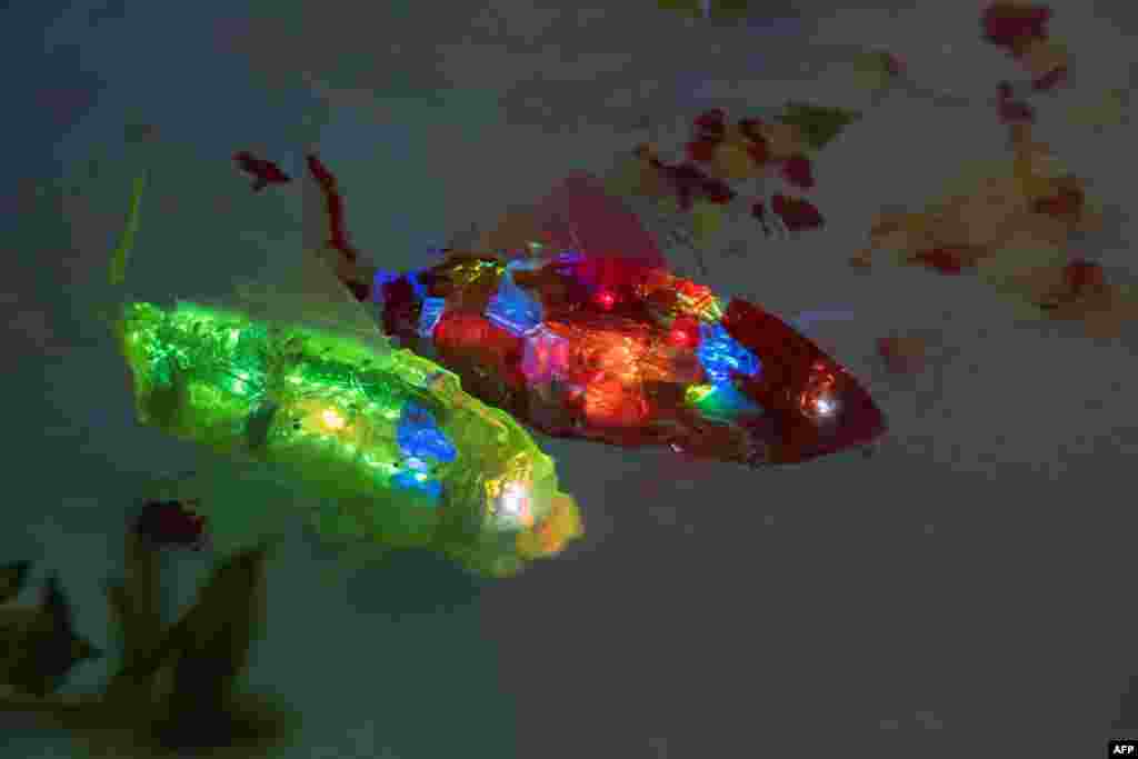 AI-based robot fish known as MIRO (Marine Intelligent Robot), developed by South Korean company AIRO, are seen swimming in a pool during a demonstration as the Advanced Content Technology Expo in Tokyo, Japan.